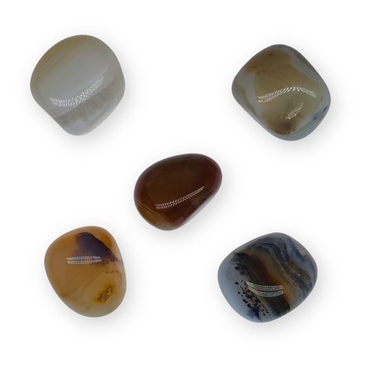 Agaat (dendriet) Trommelsteen