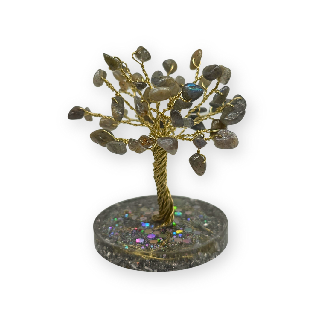 Labradoriet Levensboom S Goud