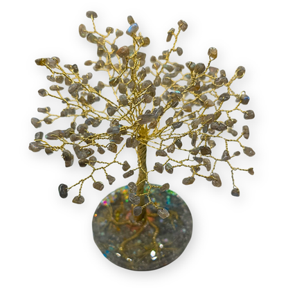 Labradoriet Levensboom L