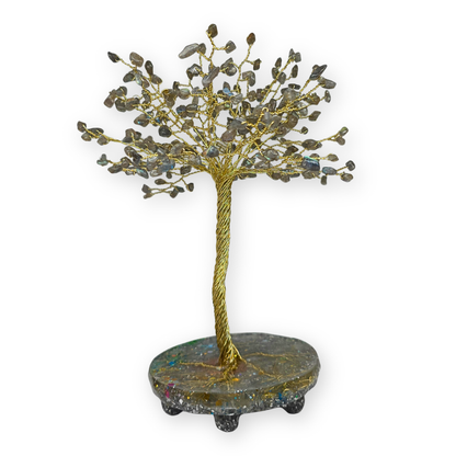 Labradoriet Levensboom L